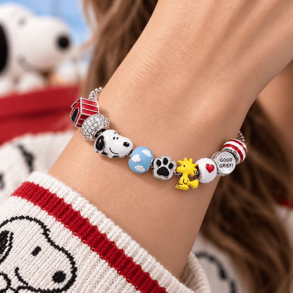 SNPY Silver Charm Bracelet Set BMD