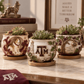 TAMA 3-Piece Succulent Planter Set HTTT